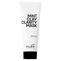 Mint Clay Clarity Mask 