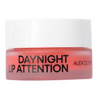 DayNight Lip Attention 